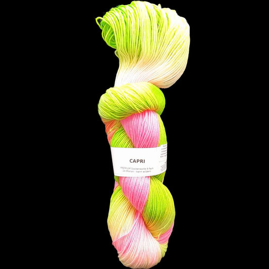 Sockenwolle PREMIUM "CAPRI" | 4-fädig | 100g | kann wildern | 063
